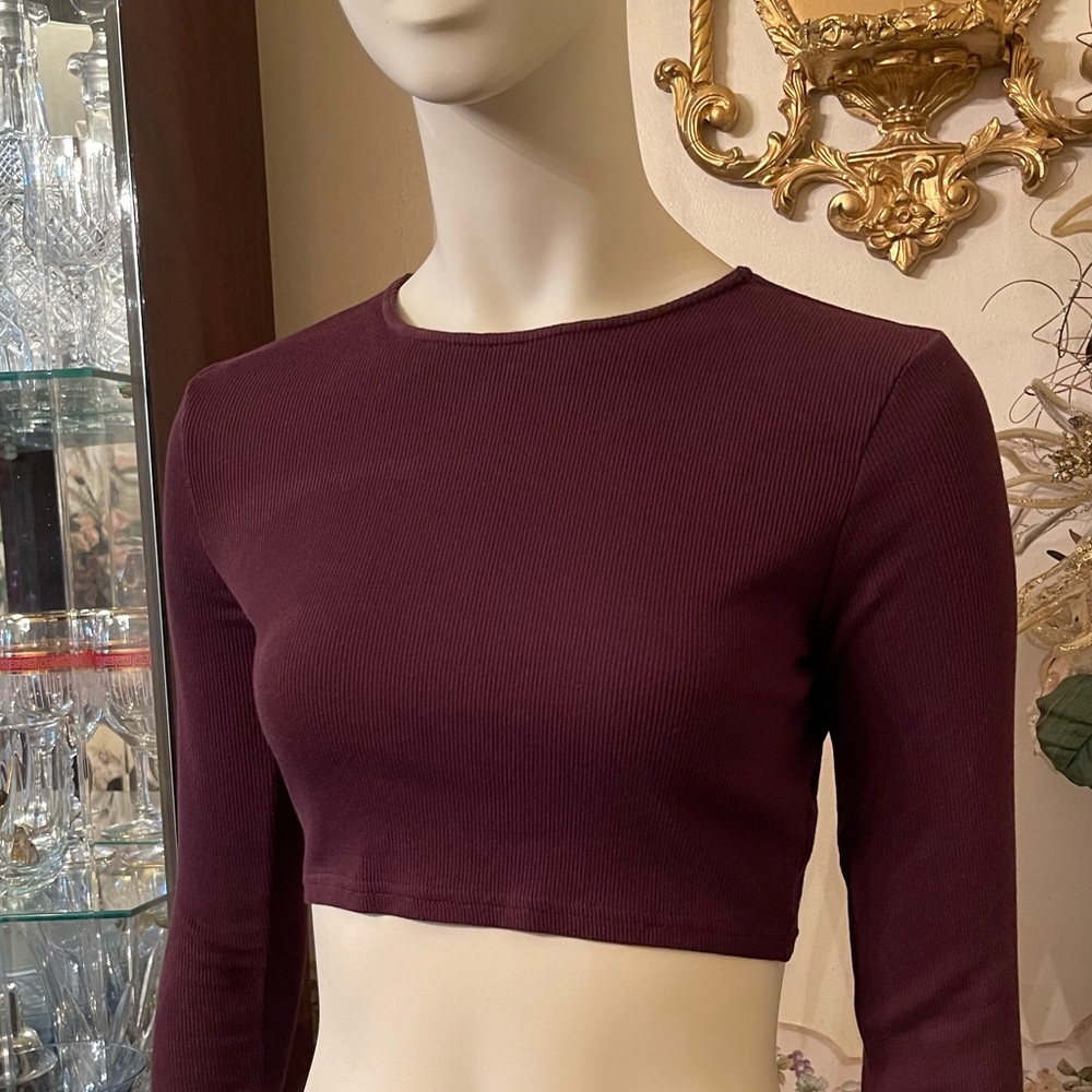 Brown Structured Snatched Rib Round Neck Long Sleeve crop top .